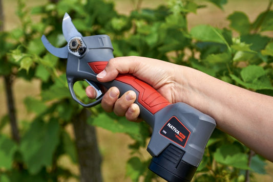 Forbice elettrica per potatura Ausonia NATIVA SMALL