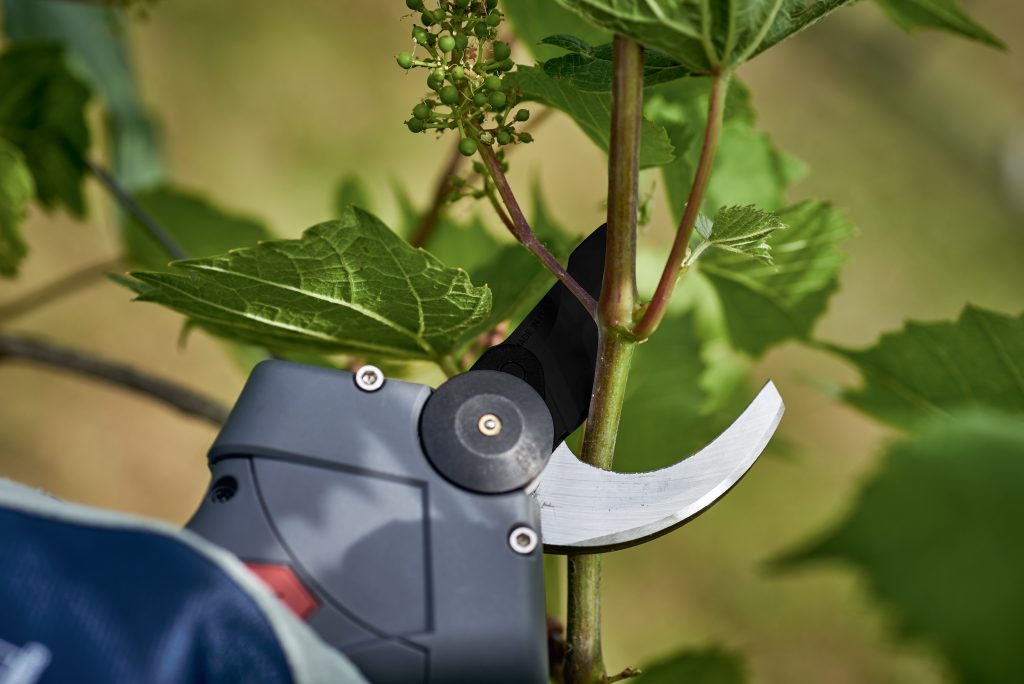 Forbice elettrica per potatura Ausonia NATIVA SMALL