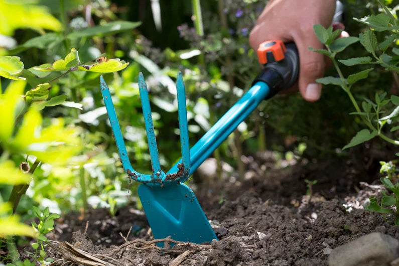 Zappetta combisystem a 3 denti