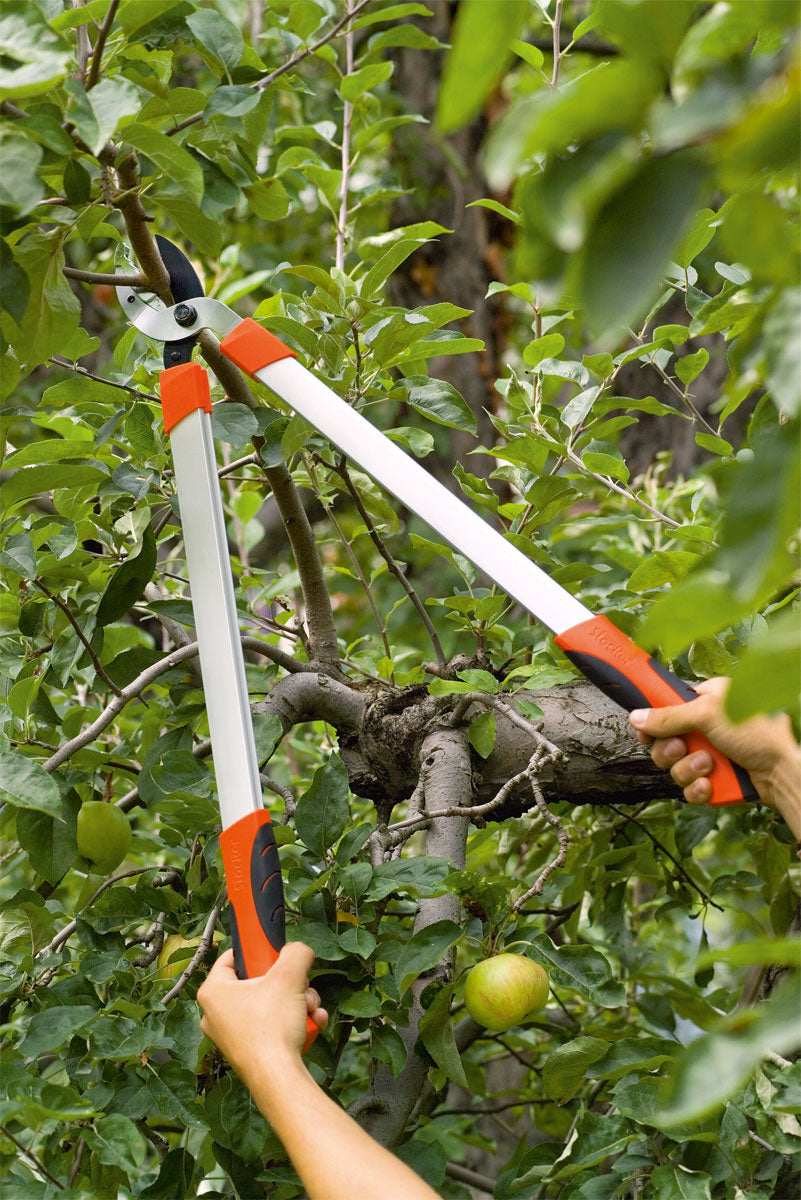 Troncarami Stocker Hobby 66 Amboss