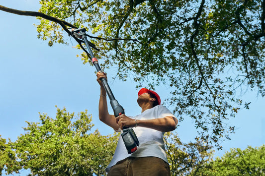 Potatore con asta Husqvarna Aspire ™ PE5-P4A