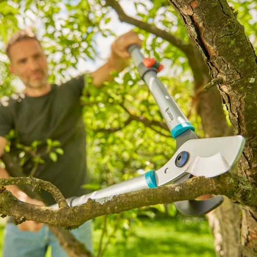 Troncarami Telescopico TeleCut Basic, per Rami Freschi
