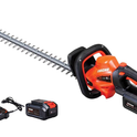 Tagliasiepi a batteria Echo DHC-310