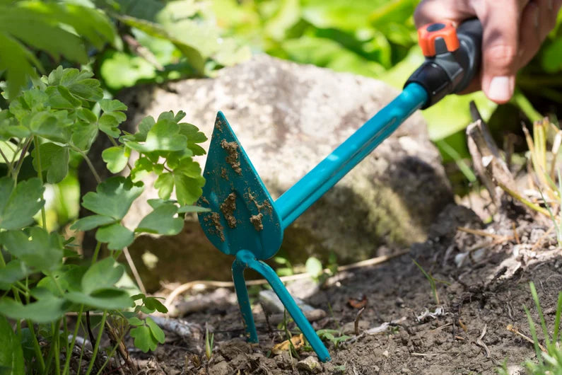 Zappetta combisystem a 2 denti