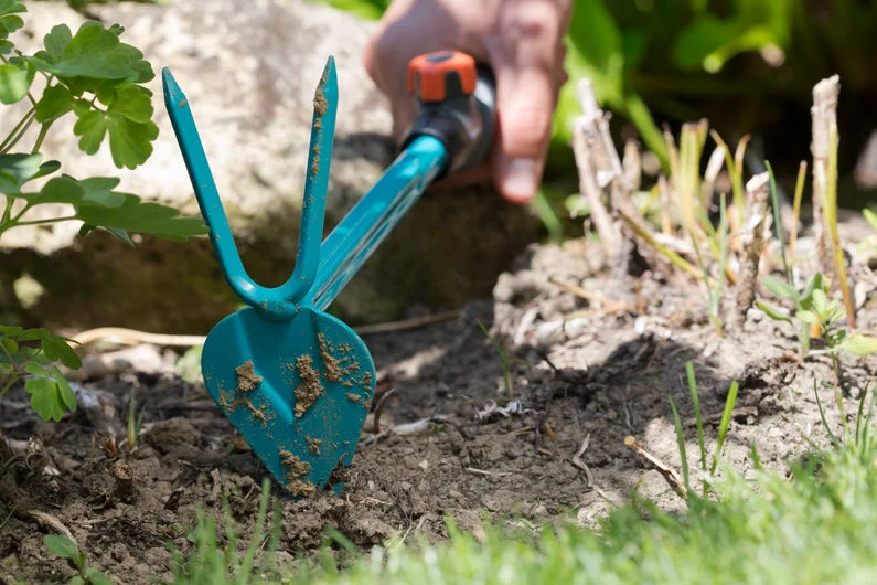 Zappetta combisystem a 2 denti