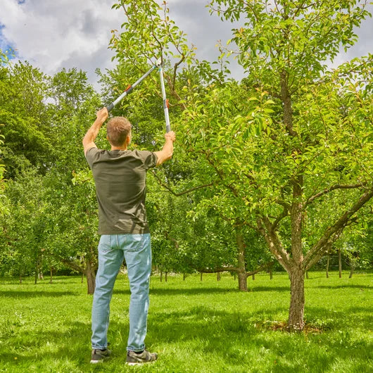Troncarami Telescopico TeleCut Basic, per Rami Freschi