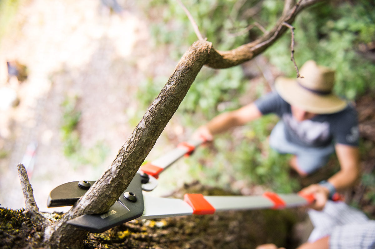 Troncarami Stocker telescopico Amboss