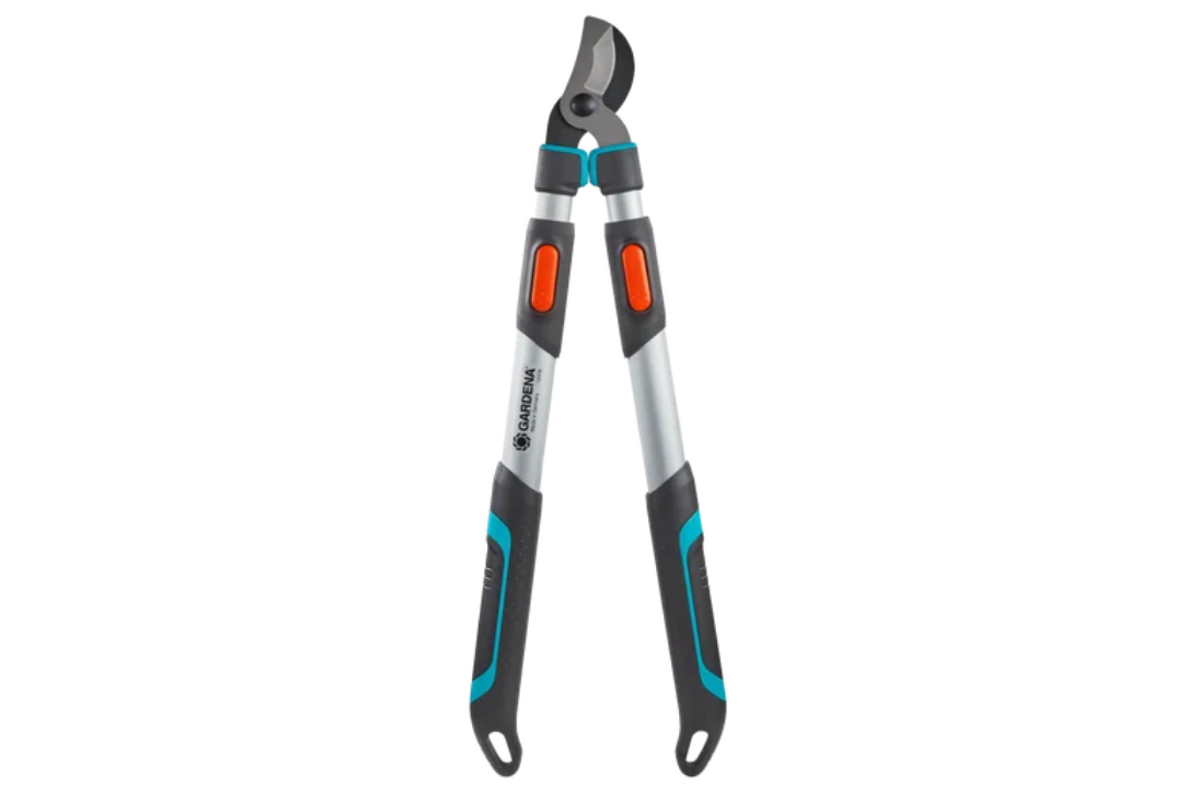 Troncarami telescopico TeleCut 650-900 B