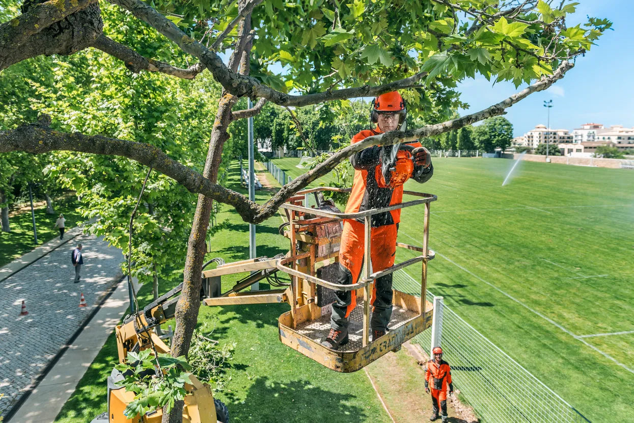 Motosega Husqvarna T435