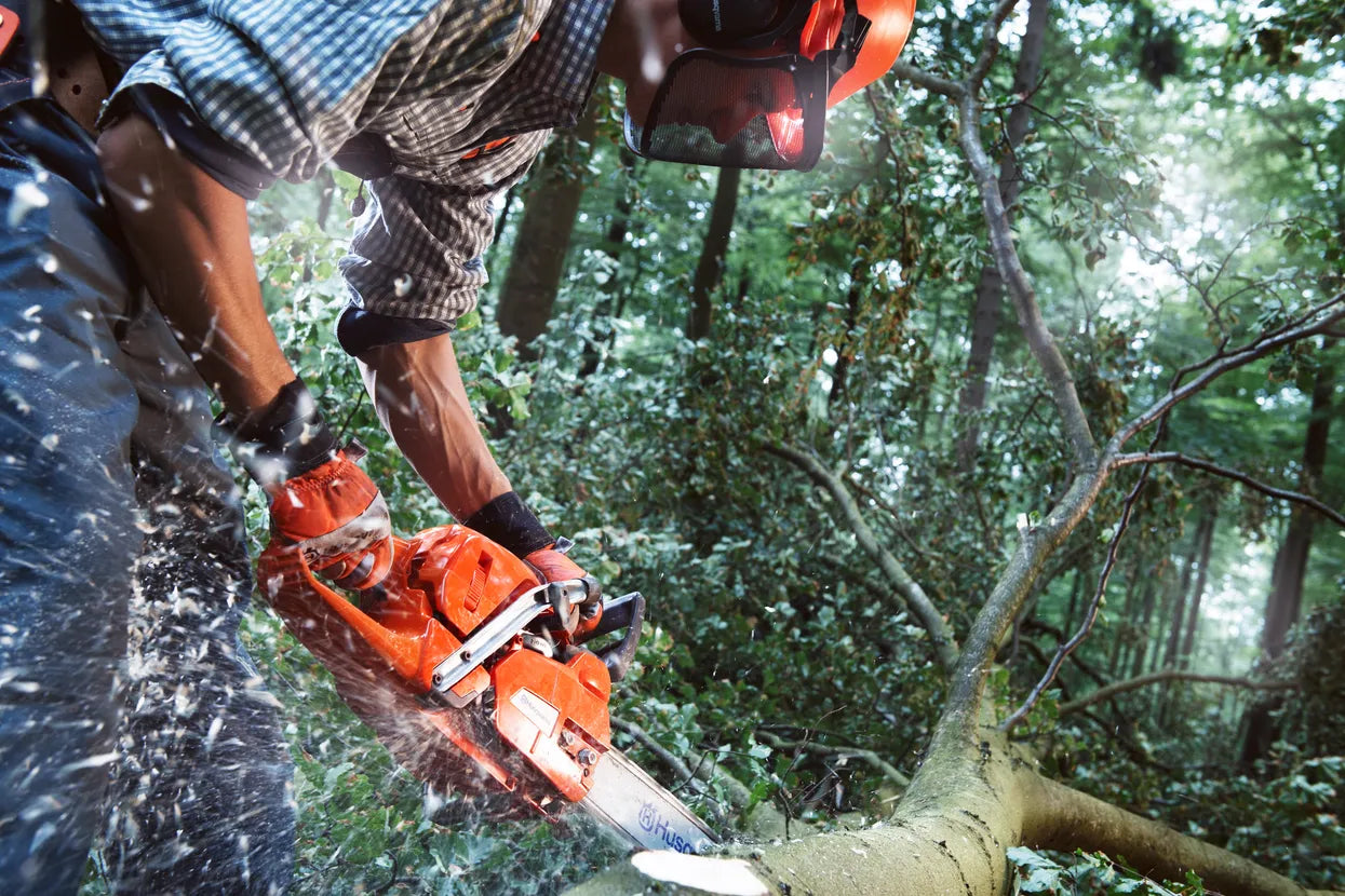 Motosega Husqvarna 555