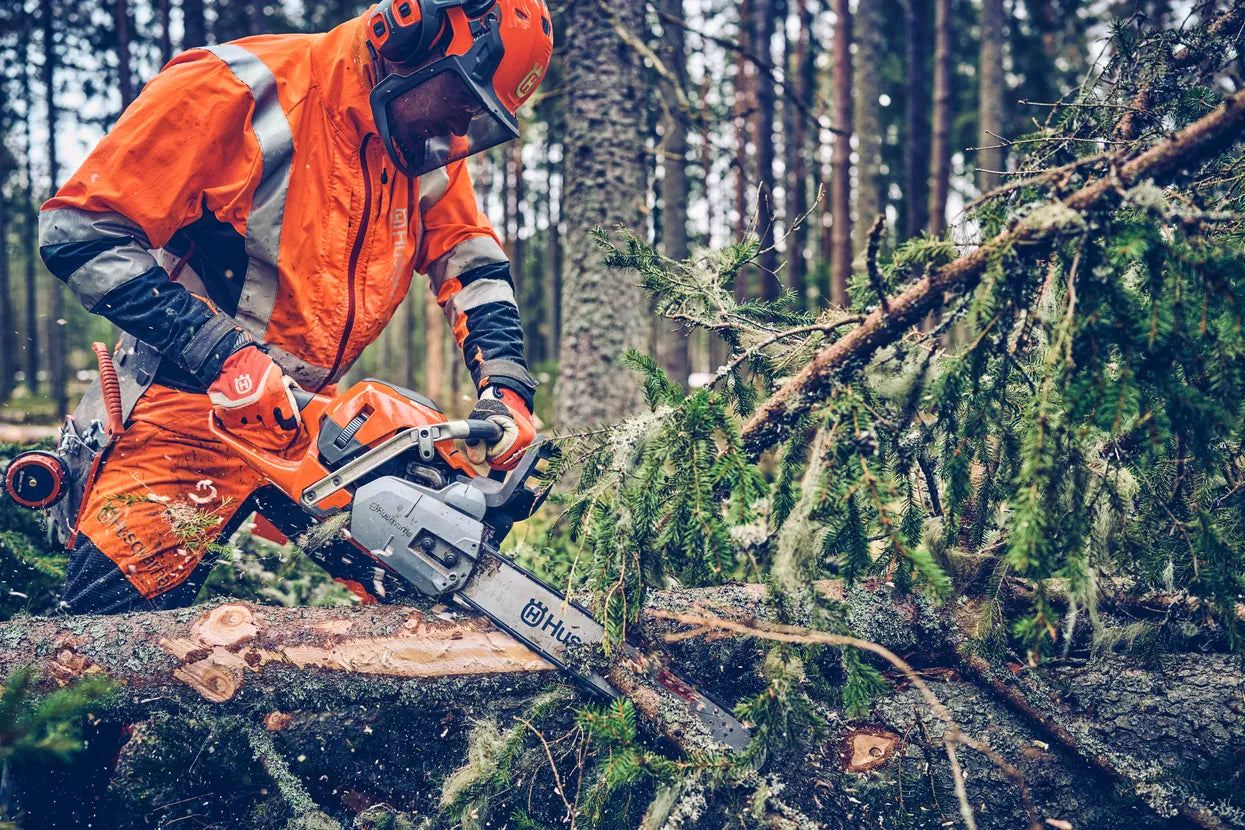 Motosega Husqvarna 560 XP® Mark II