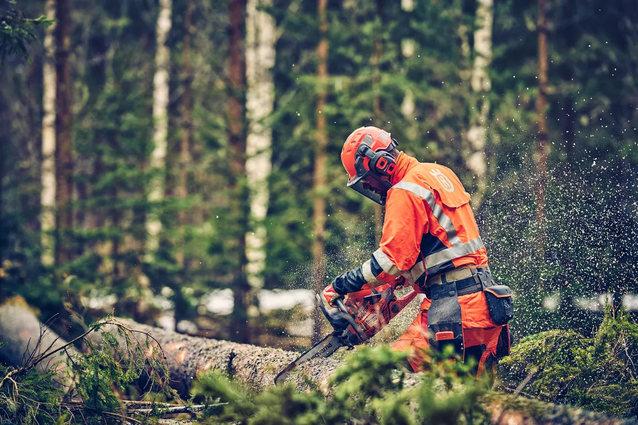 Motosega Husqvarna 560 XP® Mark II